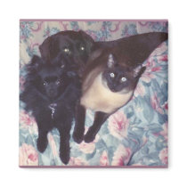 BOSOM BUDDIES MAGNETS
