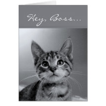 Boss, Have a PURR-fectly MEOW-velous Birthday! Greeting Card