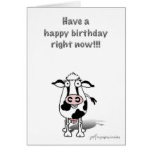 Bossie birthday cow! card