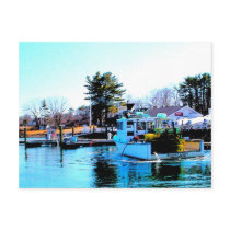 Bossy Lady Postcard