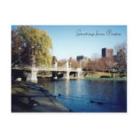 boston common postcards