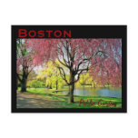 Boston Common Postcard - Customised