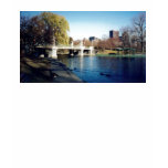boston common t-shirts