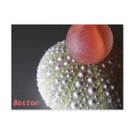Boston ~ Post Card postcards