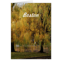 Boston Public Garden Greeting Cards