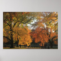 Boston Public Garden in Autumn Poster