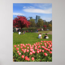 Boston Public Garden Spring Afternoon Poster