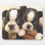 Boston Pups Mousepad