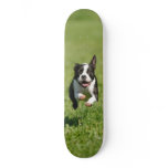 Boston Running Skateboard