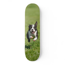 Boston Running Skateboard