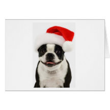 Boston Santa Note Card