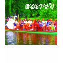Boston Tee t-shirts