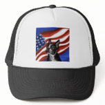 Boston Terrier american dog hats