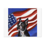 Boston Terrier american dog Post Card
