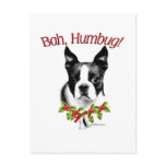 Boston Terrier Bah Humbug postcards