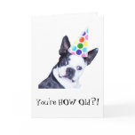 Boston Terrier Birthday Party - Card