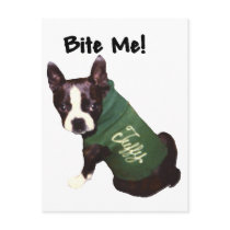 Boston Terrier:  Bite Me! Postcards