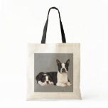 Boston Terrier Buddies Tote Bag
