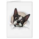 Boston Terrier Busting Out Greeting Cards
