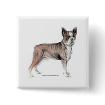 Boston Terrier Buttons