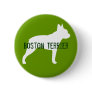 Boston Terrier