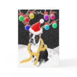Boston Terrier Christmas Card