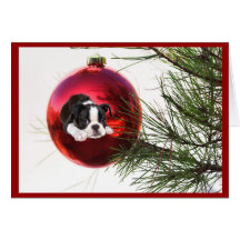 Boston Terrier Christmas Card Ball