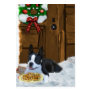 Boston Terrier Christmas Gifts Business Card Template