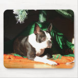 Boston Terrier Christmas mousepads