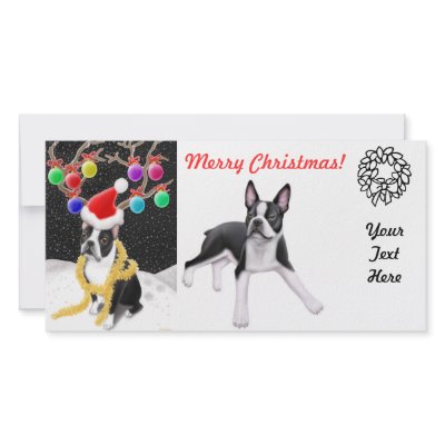 Boston Terrier Christmas Photo Card by twopurringcats