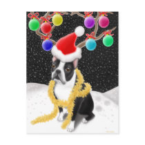 Boston Terrier Christmas Postcard