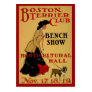 Boston Terrier Club