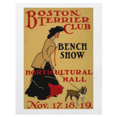 Boston Terrier Club Flyers by Cardgallery