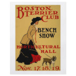 Boston Terrier Club flyers