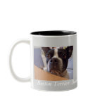 boston terrier cup coffee mugs