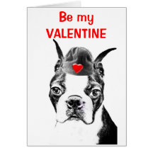 BOSTON TERRIER - Custom Valentines Day Card