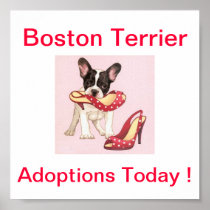 Boston Terrier Dog Adoptions Today Sign