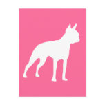 Boston Terrier Dog Gifts (white) Post Card