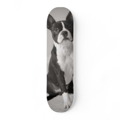 Boston Terrier Dog Skateboard by foothillsmkt
