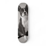Boston Terrier Dog Skateboard