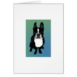 Boston Terrier Dog Surrounded in Color Card