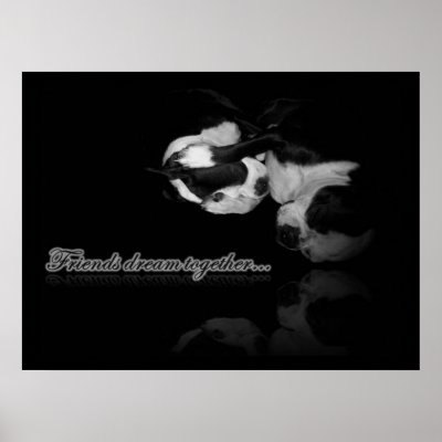Boston Terrier Dreams - Print by katramsey