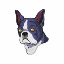 Boston Terrier