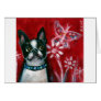 Boston Terrier eyes butterfly Card