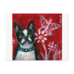 Boston Terrier eyes butterfly Postcards