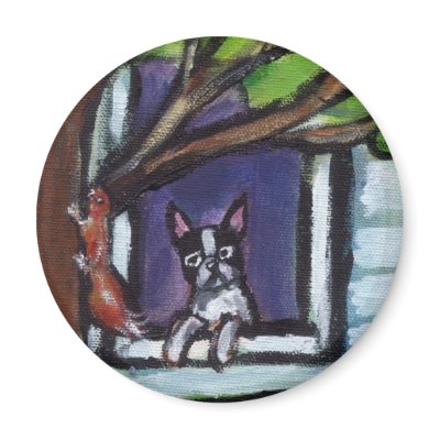 Boston Terrier eyes squirrel in tree dog painting Magnets by zadajeanne