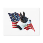 Boston Terrier Flag postcards