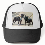 Boston Terrier  & French Bulldog Mesh Hats
