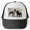 Boston Terrier  & French Bulldog hats