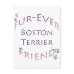 Boston Terrier Furever Post Card
